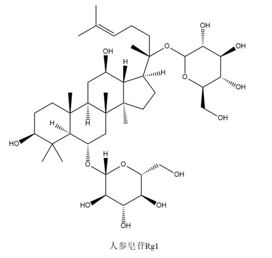 人参皂苷