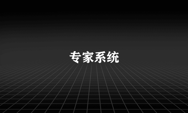 专家系统