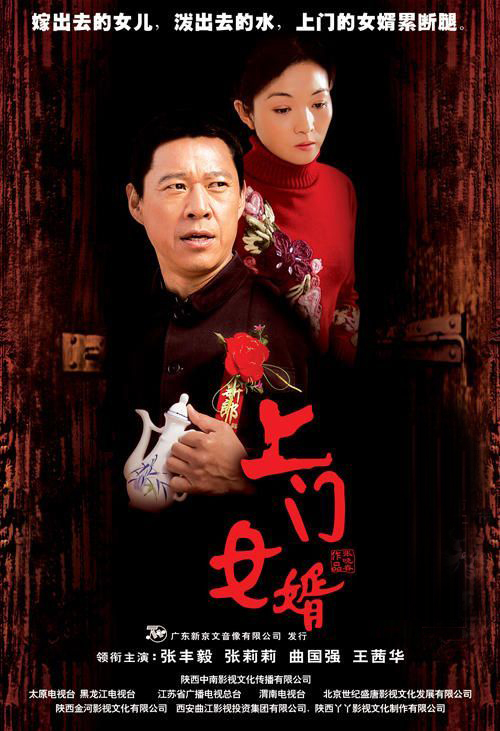 什么是上门女婿（2006年张丰毅主演电视剧）