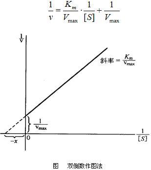 常数（数学名词）