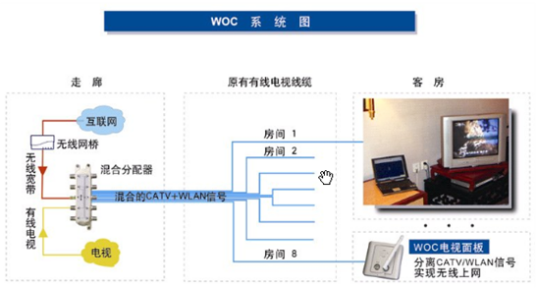 什么是WOC