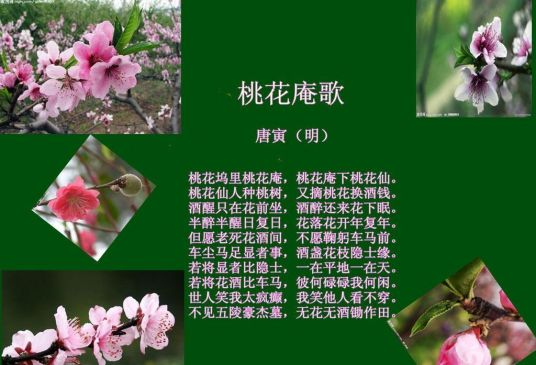 什么是桃花庵歌（唐寅创作的古诗）