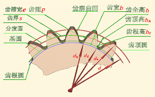 齿轮模数