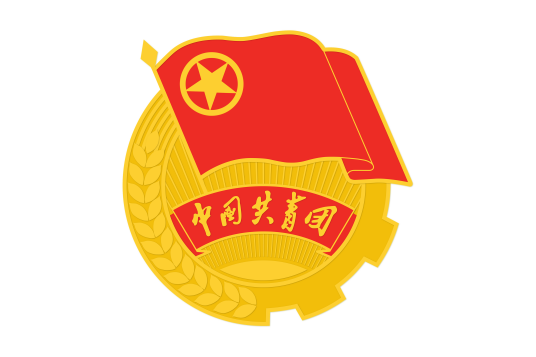 什么是共青团市委