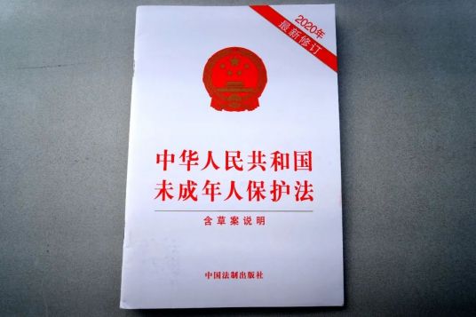 中华人民共和国未成年人保护法（中国法律）