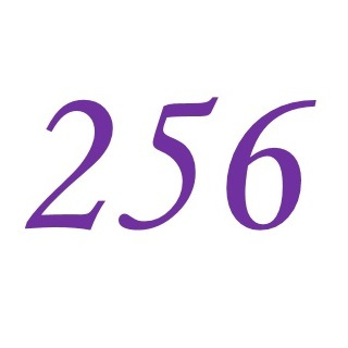 256