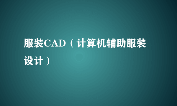 服装CAD（计算机辅助服装设计）