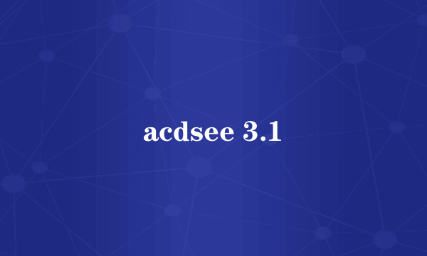 什么是acdsee 3.1