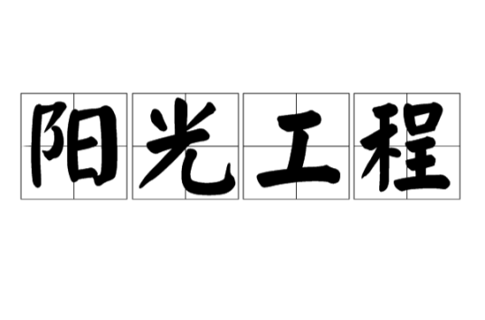 阳光工程（职业技能培训示范项目）