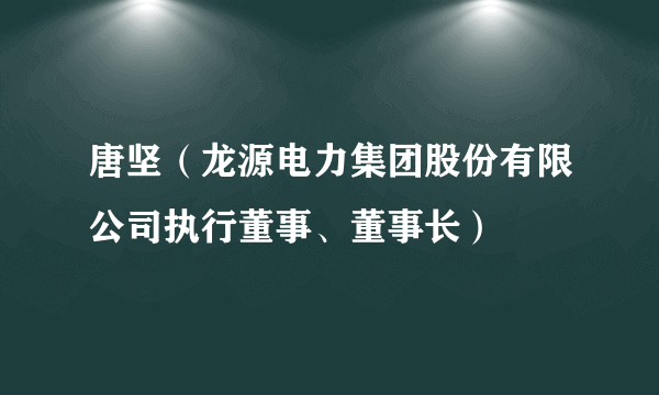 唐坚（龙源电力集团股份有限公司执行董事、董事长）