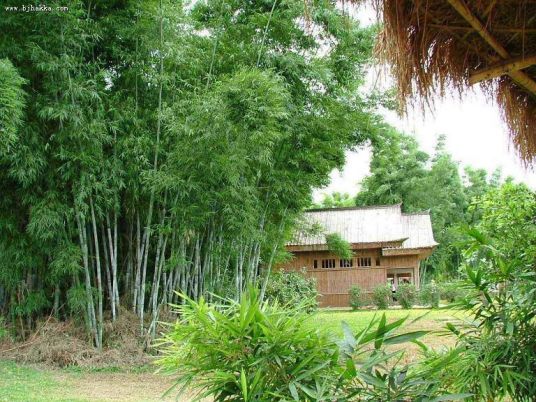 山里人家（饮用水厂）