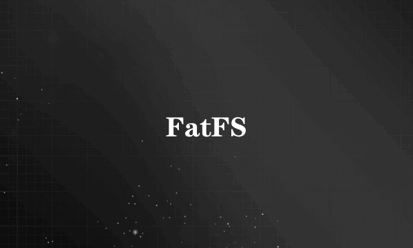 什么是FatFS