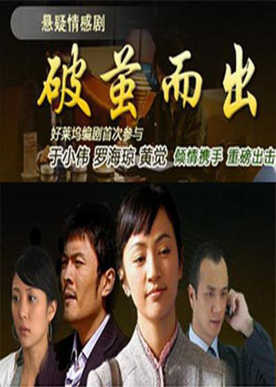 破茧而出（2008年中国大陆电视剧）