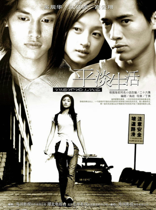 平淡生活（2004年沈佳妮主演海岩小说改编电视剧）