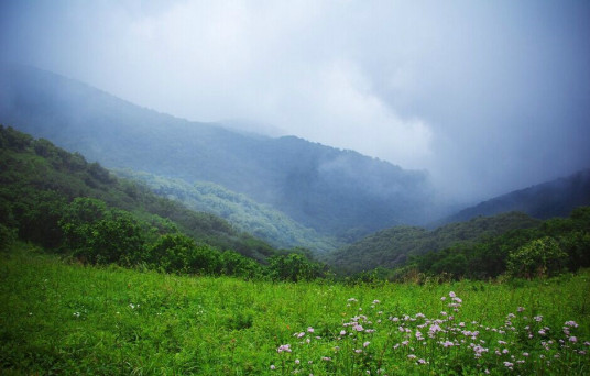 什么是海坨山