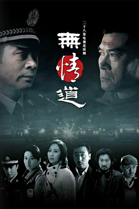 无情道（2010年余丁执导的电视剧）