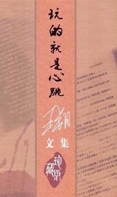 玩的就是心跳（2004年云南人民出版社出版的图书）