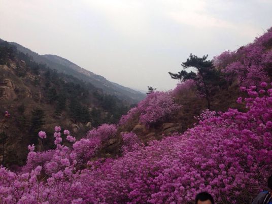 大珠山风景区