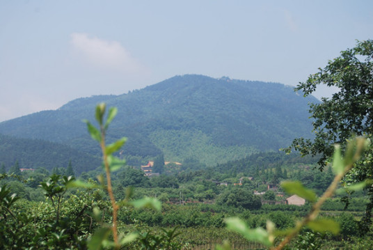 什么是百花村（安徽省合肥市庐江县下辖村）