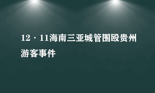 12·11海南三亚城管围殴贵州游客事件