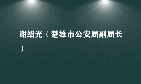 什么是谢绍光（楚雄市公安局副局长）