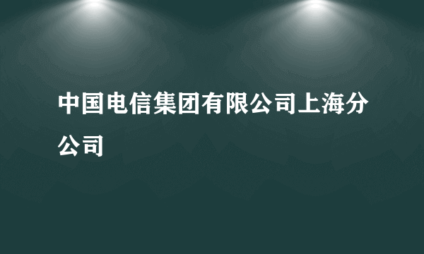 中国电信集团有限公司上海分公司