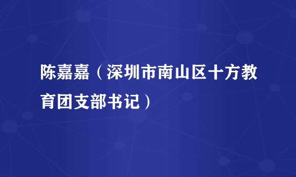 陈嘉嘉（深圳市南山区十方教育团支部书记）