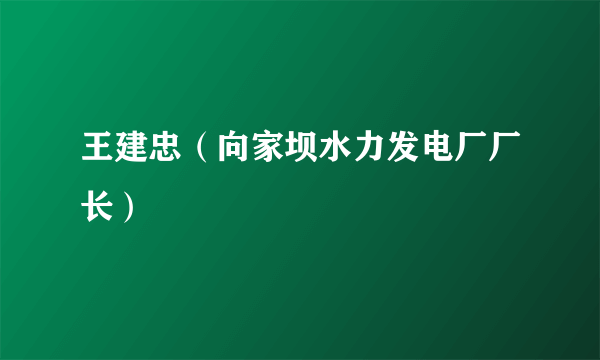 王建忠（向家坝水力发电厂厂长）