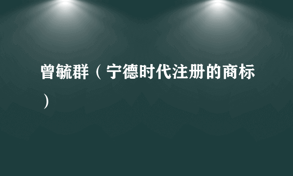 曾毓群（宁德时代注册的商标）