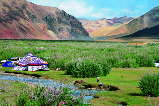 什么是天阶山森林公园