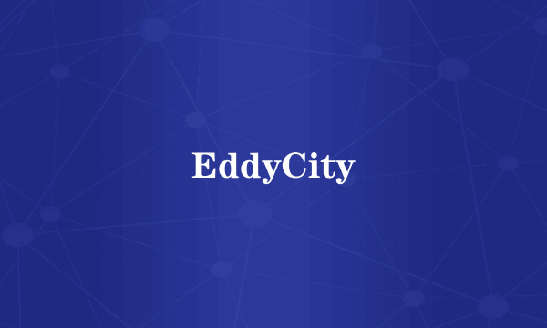 什么是EddyCity