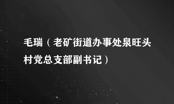 毛瑞（老矿街道办事处泉旺头村党总支部副书记）