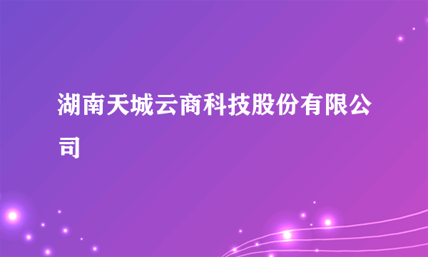 什么是湖南天城云商科技股份有限公司