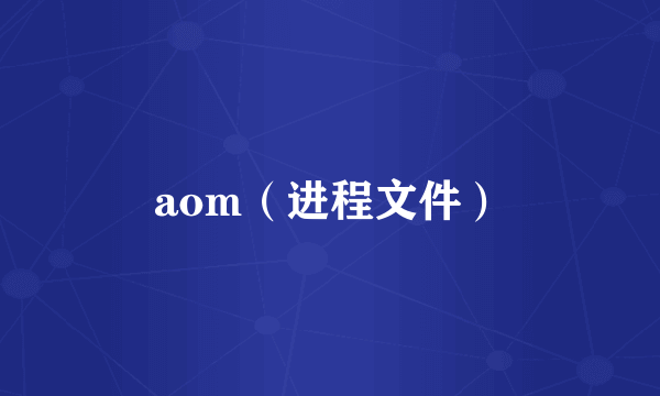 aom（进程文件）