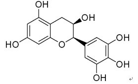 酶食素