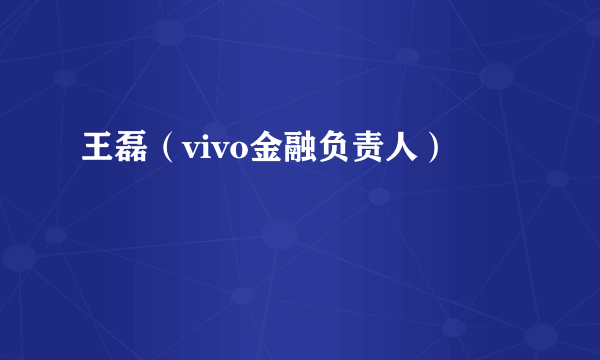 王磊（vivo金融负责人）