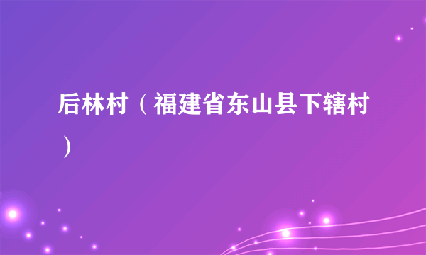 后林村（福建省东山县下辖村）