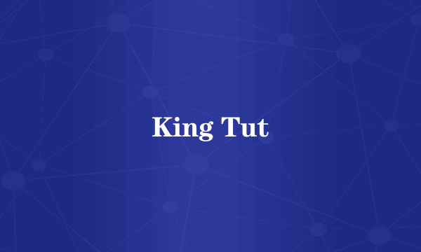 什么是King Tut