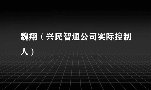 魏翔（兴民智通公司实际控制人）