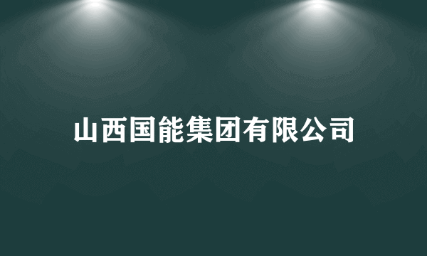 什么是山西国能集团有限公司