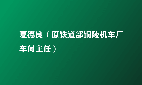 什么是夏德良（原铁道部铜陵机车厂车间主任）