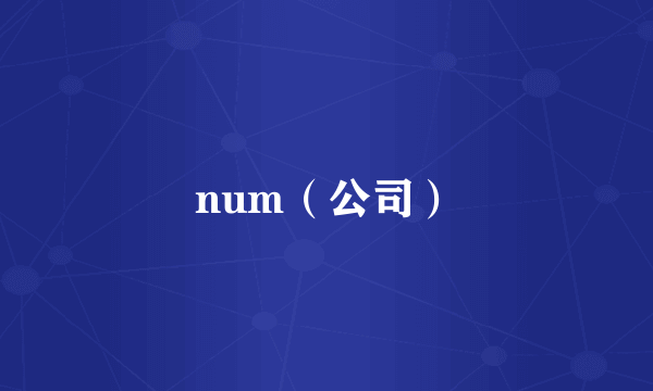 什么是num（公司）