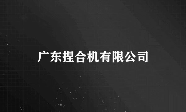 什么是广东捏合机有限公司