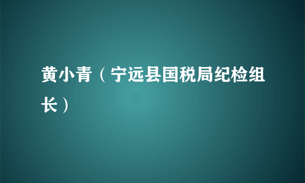 黄小青（宁远县国税局纪检组长）