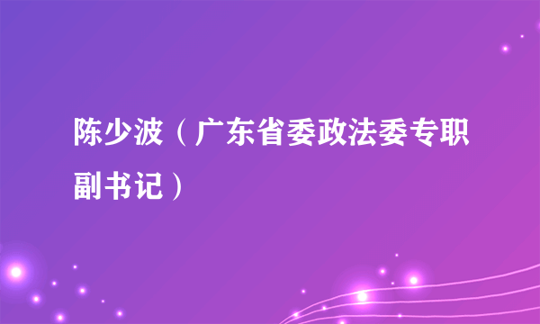 什么是陈少波（广东省委政法委专职副书记）