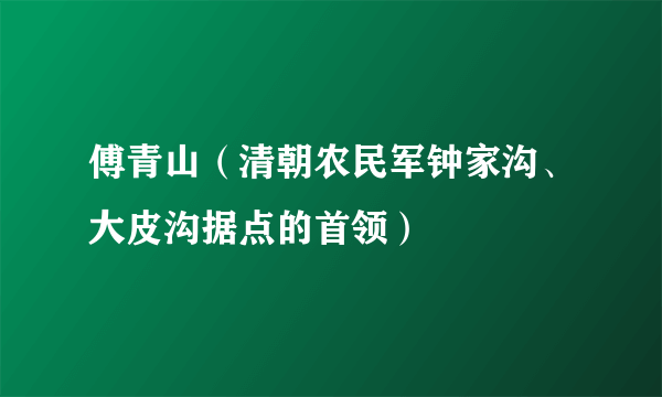 傅青山（清朝农民军钟家沟、大皮沟据点的首领）