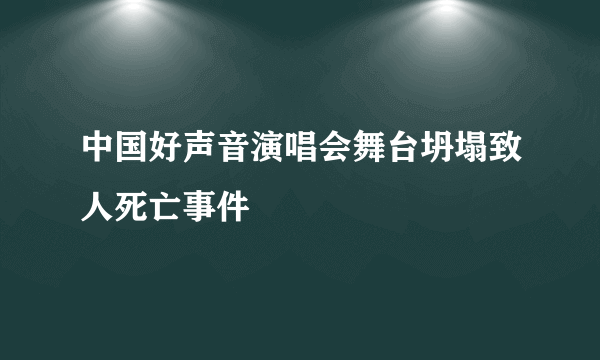 中国好声音演唱会舞台坍塌致人死亡事件