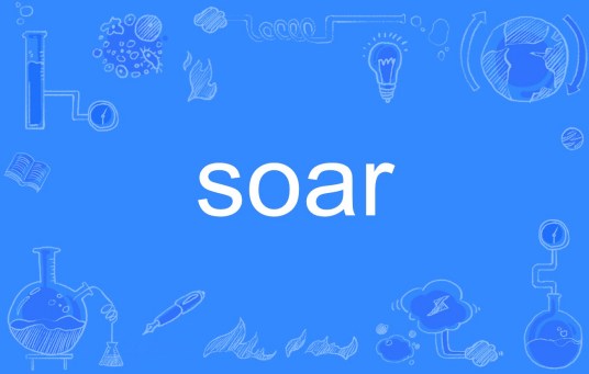 soar（英文单词）