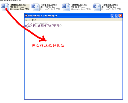 什么是flashpaper