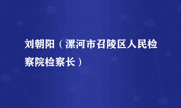 刘朝阳（漯河市召陵区人民检察院检察长）